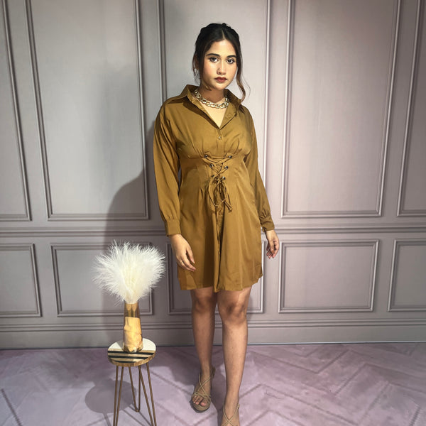 Brown Tie-Up Casual A-Line Dress