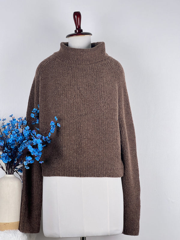Turtle-Neck Brown Baggy-Fit Sweater